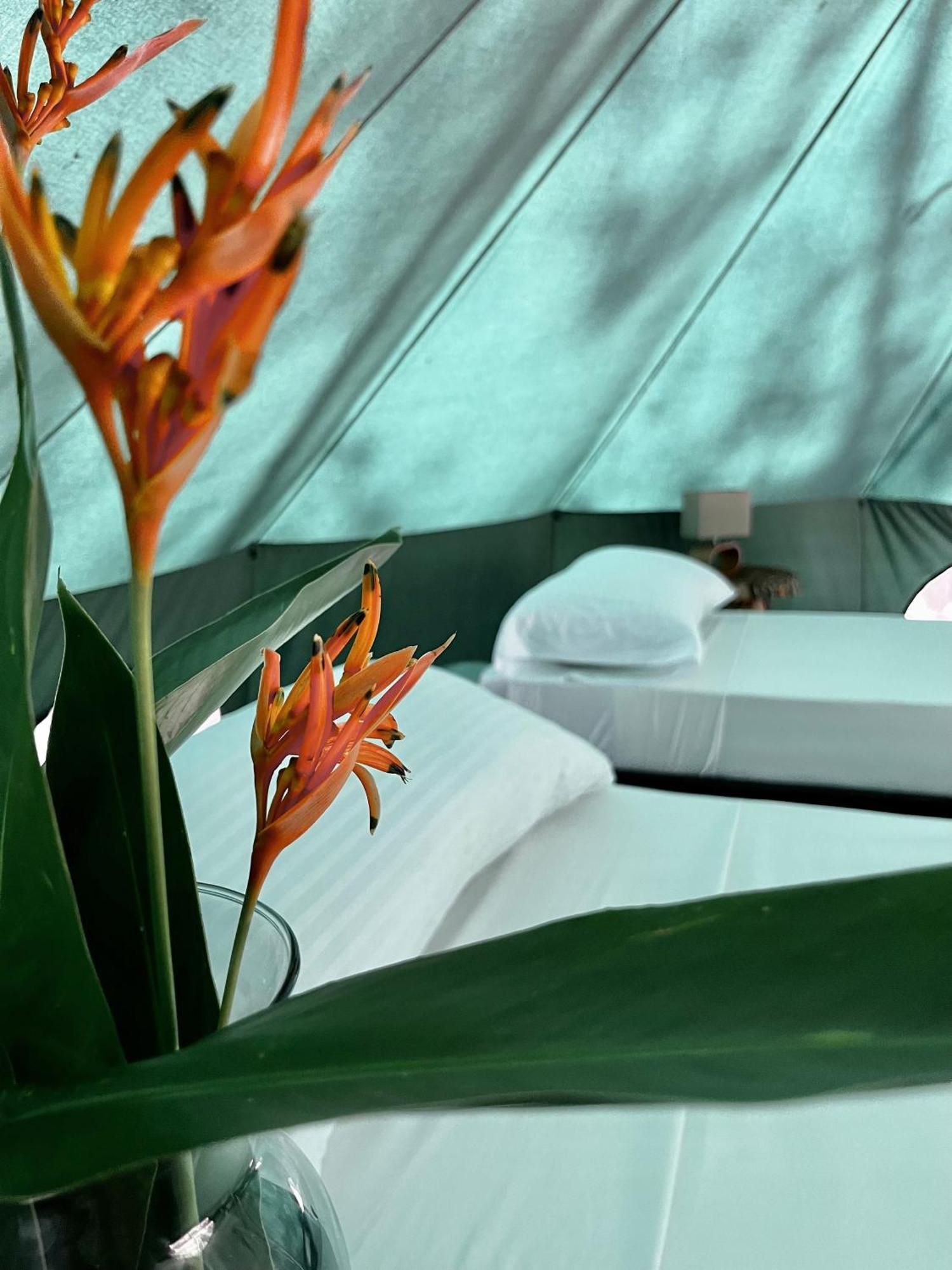 One Santuario Hotel Y Reserva Natural パロミノ 部屋 写真