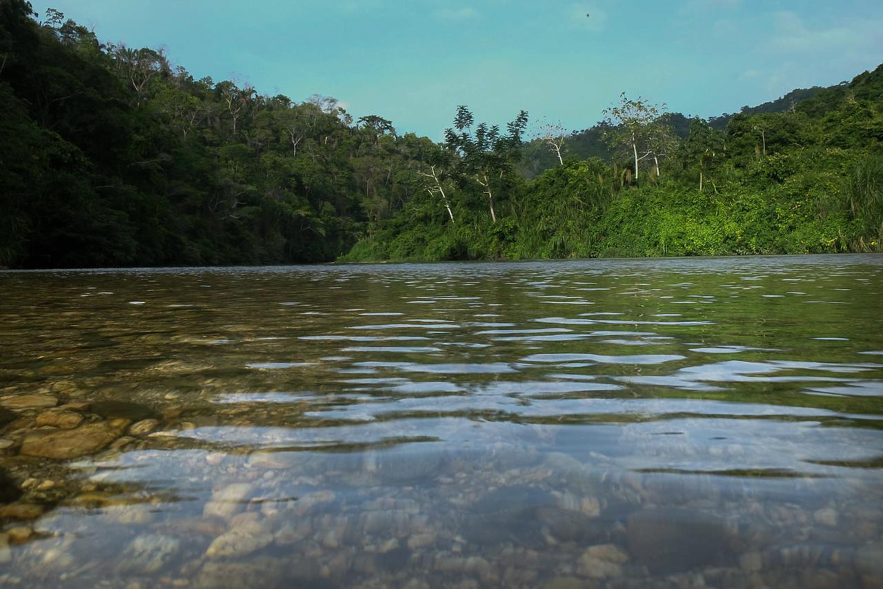 One Santuario Hotel Y Reserva Natural パロミノ エクステリア 写真