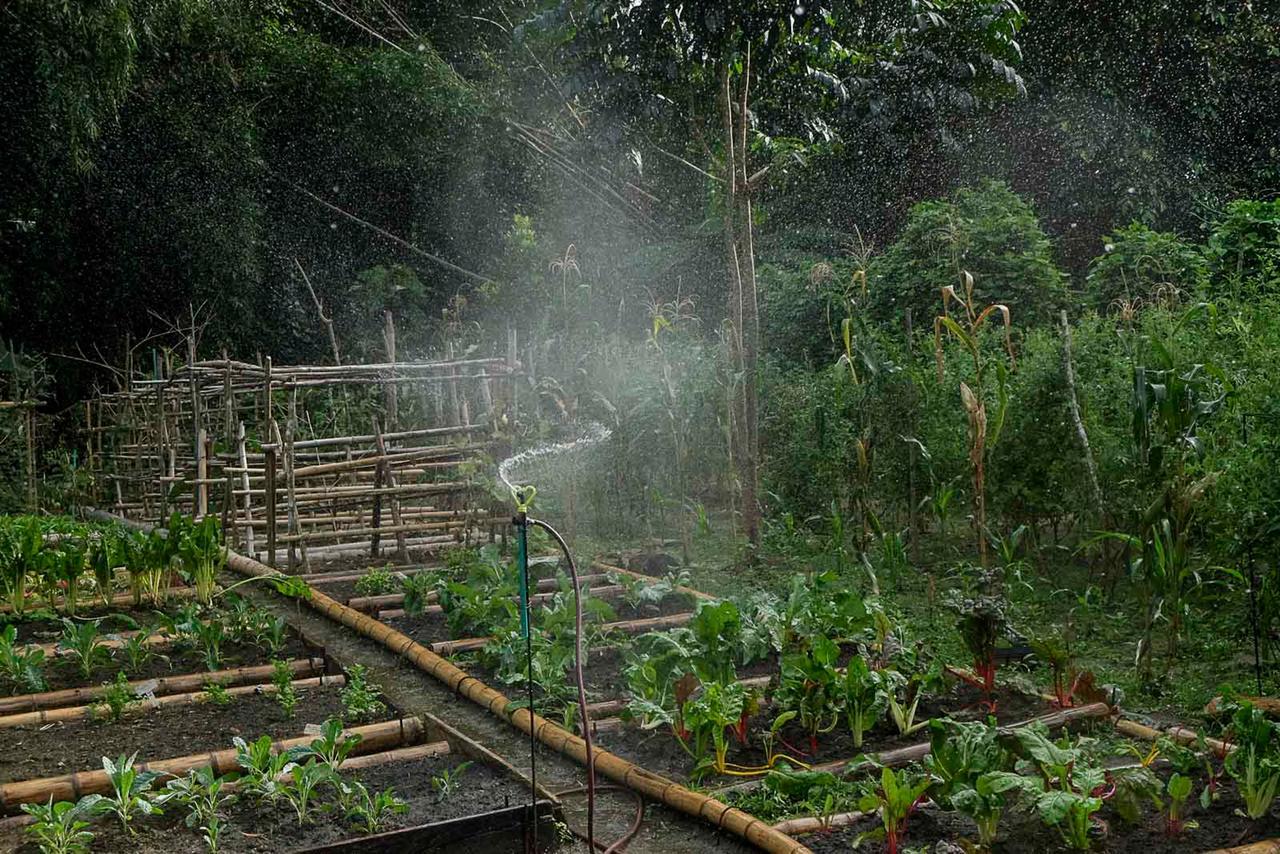 One Santuario Natural パロミノ エクステリア 写真